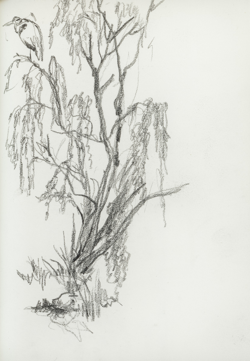 20150930_01_Drawing Book_ (62).jpg