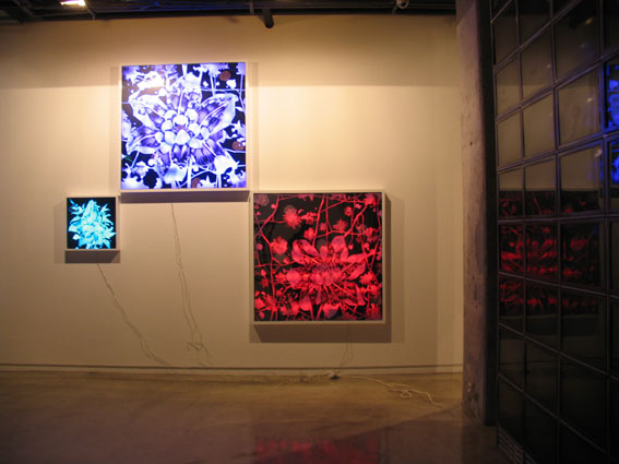 한기창_혼성의 풍경,LED프로그램,엑스선필름, 혼합재료,63x63cm,2009.jpg